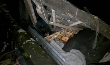 ঘূর্ণিঝড় সিত্রাংয়ে ১৬ জনের মৃত্যু