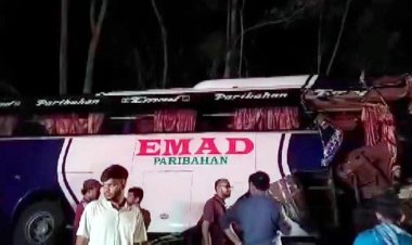 গোপালগঞ্জে দুই বাসের মুখোমুখি সংঘর্ষে চালক নিহত, আহত ১৫