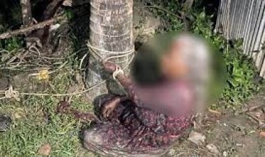 নাটোরে ৮০ বছরের বৃদ্ধাকে গাছে বেঁধে নির্যাতন