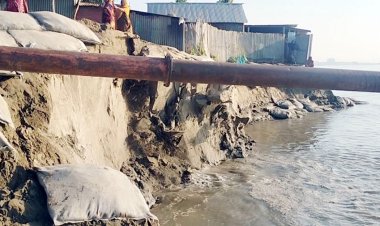 যমুনার ভাঙনে দিশেহারা নদীপাড়ের মানুষ