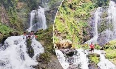  ১০ মাসে থাইল্যান্ড ভ্রমণ করেছেন ৭৩ লাখ পর্যটক