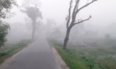 দেশের সর্বনিম্ন তাপমাত্রা পঞ্চগড়ে ১৬.১ ডিগ্রি