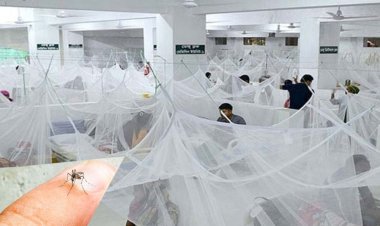 অক্টোবরেই ২২ হাজার ডেঙ্গু রোগী, মৃত্যু ৮৬