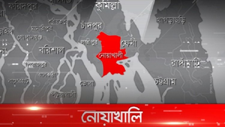 নোয়াখালীতে ‘আইনের লোক’ পরিচয়ে লুটপাট!