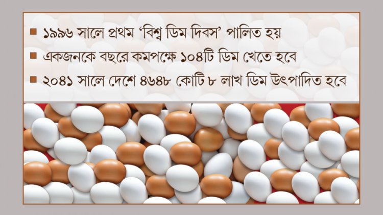 ডিম দিবস আজ
