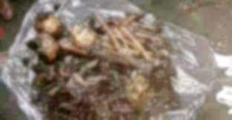 পঞ্চগড়ে চার কঙ্কাল উদ্ধার, নারী আটক