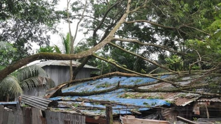 বরিশালে ৩ হাজার বাড়িঘর বিধ্বস্ত, মাছ চাষিদের ক্ষতি ৮ কোটি টাকা