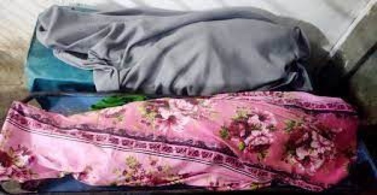 গাছের ডাল কাটা নিয়ে দ্বন্দ্ব, প্রতিবেশীর হামলায় ভাইবোন নিহত