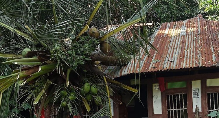 ঘূর্ণিঝড় সিত্রাং: বরিশালে ৩ হাজারের বেশি ঘরবাড়ি ক্ষতিগ্রস্ত