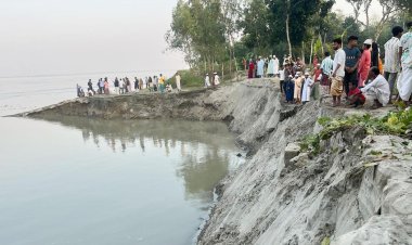 সিরাজগঞ্জে যমুনার আকস্মিক ভাঙনে ৩০০ মিটার এলাকা বিলীন
