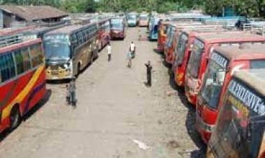  সন্ধ্যা থেকে বাস চলবে বরগুনায়