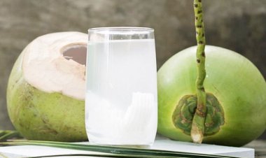 দ্রুত ওজন কমাতে যেভাবে পান করবেন ডাবের পানি