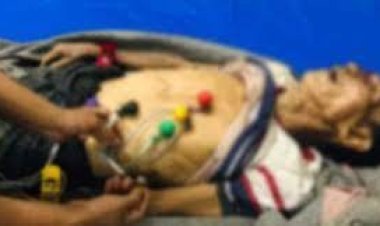  বান্দরবানে বন্য হাতির আক্রমণে ফের নিহত ১