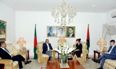 সুইডেন ও নরওয়ের রাষ্ট্রদূতের সঙ্গে বিএনপির বৈঠক