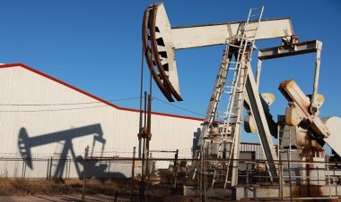 রাশিয়া থেকে তেল কেনা বন্ধ করবে না ভারত