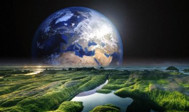 ৫০ কোটি বছর আগে পৃথিবী থেকে হঠাৎ হারিয়েছিল অক্সিজেন