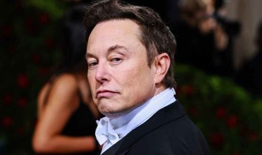 দেউলিয়া হতে পারে সংস্থা, হাল ফেরাতে টুইটার কর্মীদের সপ্তাহে ৮০ ঘণ্টা কাজ করতে বললেন মাস্ক