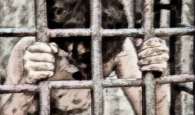 ৭ মাস ধরে কুকুরের খাঁচায় বন্দি বালক! অবশেষে পুলিশ এসে উদ্ধার করলো