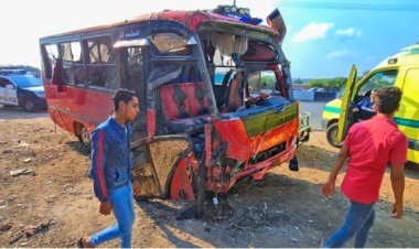 মিশরে বাস খালে পড়ে ১৯ জনের মৃত্যু