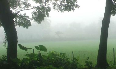 চুয়াডাঙ্গায় সর্বনিম্ন তাপমাত্রা ১৩.৪ ডিগ্রি