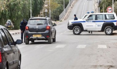 আলজেরিয়ায় মরুভূমিতে সড়ক দুর্ঘটনা, নিহত ১৬