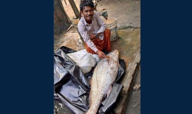 সেই গণির জালে ফের ধরা পড়লো ৭ লাখ টাকার কালো পোয়া