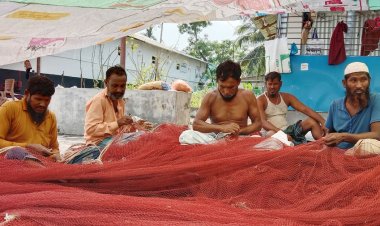 সাগরে ইলিশ নেই, বিপাকে জেলে-ট্রলার মালিকরা