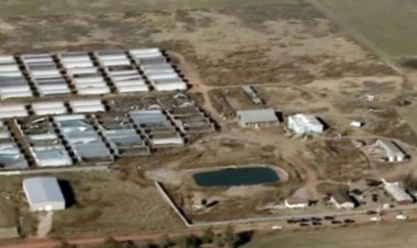 যুক্তরাষ্ট্রে গাঁজার খামার থেকে ৪ চীনা নাগরিকের মরদেহ উদ্ধার