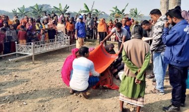 ভালোবেসে বিয়ের দুই মাসের মাথায় স্বামী-স্ত্রীর আত্মহত্যা