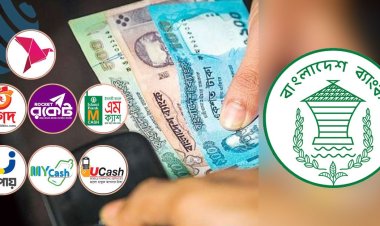 বিকাশ-রকেটে সরাসরি আসবে রেমিট্যান্স