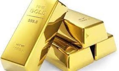 চুয়াডাঙ্গা-ঝিনাইদহ থেকে ১১ কেজি ৭৩৯ গ্রাম স্বর্ণ জব্দ