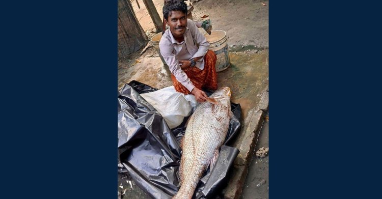 সেই গণির জালে ফের ধরা পড়লো ৭ লাখ টাকার কালো পোয়া