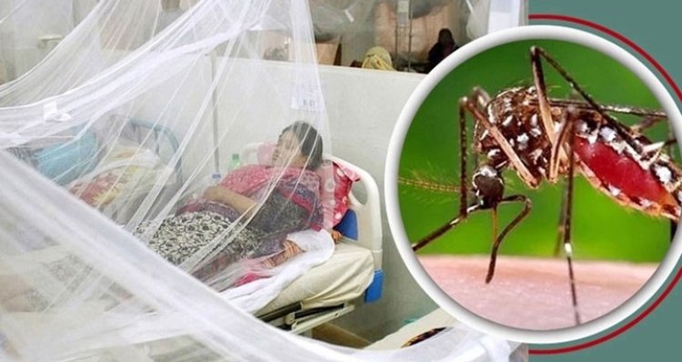 ডেঙ্গুতে আরও ৪ মৃত্যু, হাসপাতালে ভর্তি ৬০৬