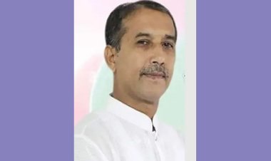 ডিবি পরিচয়ে বিএনপি নেতাকে তুলে নেয়ার অভিযোগ রিজভীর