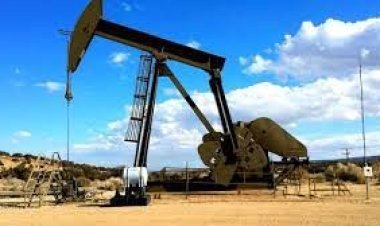 সৌদি আরবে ২টি নতুন গ্যাস ক্ষেত্রের সন্ধা