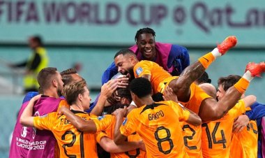 যুক্তরাষ্ট্রকে উড়িয়ে কোয়ার্টার ফাইনালে নেদারল্যান্ডস