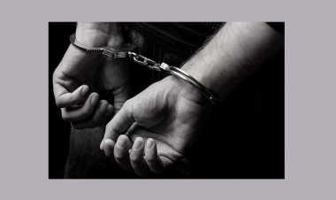 মির্জাপুরে নাশকতাচেষ্টার অভিযোগে পুলিশের মামলা, বিএনপির ছয় সমর্থক গ্রেপ্তার