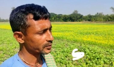 গাইবান্ধায় সার সংকট, শঙ্কায় চাষিরা