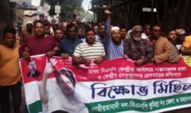 কুমিল্লা দক্ষিণ জেলা যুবদল সভাপতি-সহসভাপতি গ্রেপ্তার