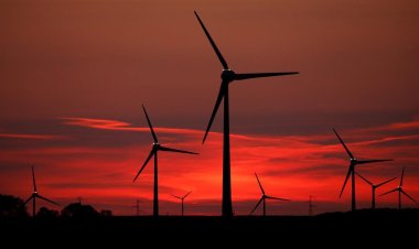  শেষ হয়ে আসছে মজুদ, জ্বালানির অন্য উৎস খুঁজছে পাকিস্তান