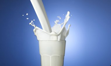 ভেজাল দুধ চেনার উপায়