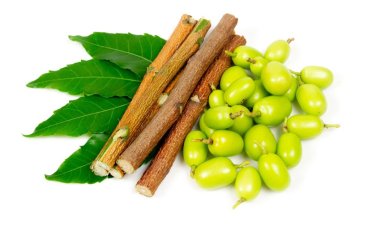 নিমের ডাল দিয়ে দাঁত মাজার যত উপকারিতা