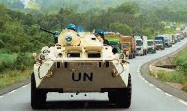  মালিতে বন্দুকধারীর হামলায় দুই শান্তিরক্ষী নিহত