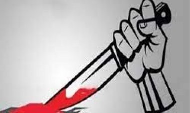  মাকে ছুরিকাঘাতের পর ফ্রাইপ্যান দিয়ে মাথায় আঘাত কিশোরের