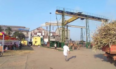 সাড়ে ৬০০ কোটি টাকা লোকসান মাথায় ফরিদপুর চিনিকলে আখ মাড়াই শুরু