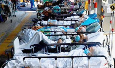 চীনে ২০ দিনেই ২৫ কোটি মানুষ করোনায় আক্রান্ত!