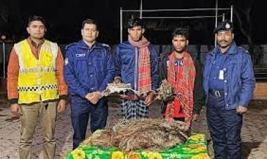 ফাঁদ পেতে পাখি শিকারের দায়ে দুই যুবকের কারাদণ্ড