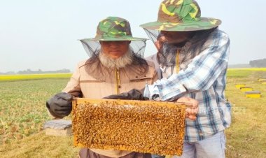 ২৬০০ টাকায় শুরু, এখন মাসে আয় লাখের বেশি