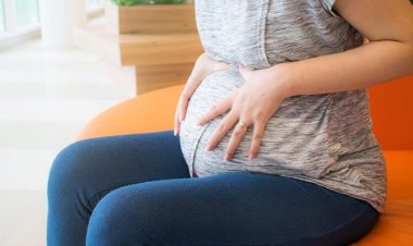 কর্মী অন্তঃসত্ত্বা জেনে বরখাস্ত করলেন বস, অতপর...