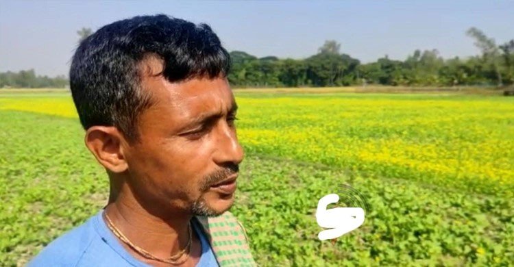 গাইবান্ধায় সার সংকট, শঙ্কায় চাষিরা